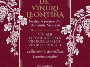 Casa de vinuri Leontina